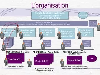 l organisation