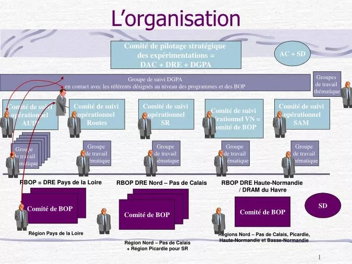 l organisation