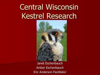 Central Wisconsin Kestrel Research