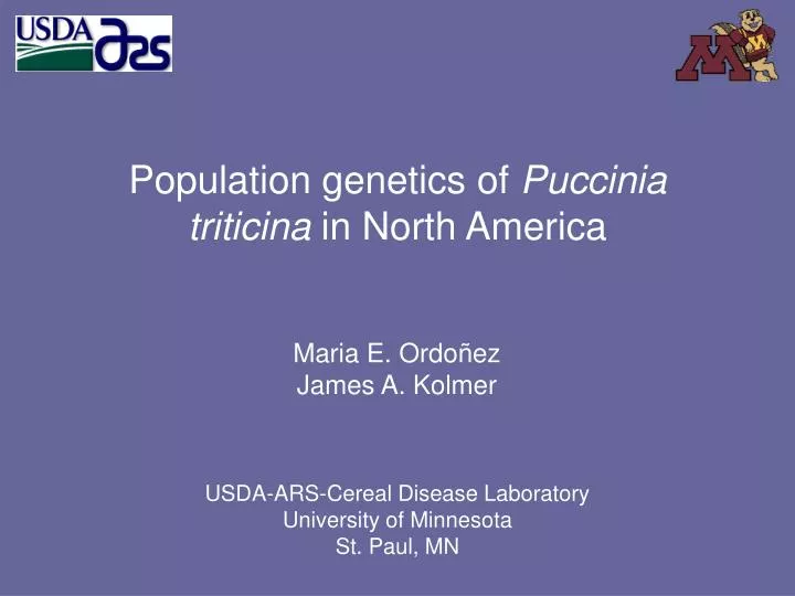 population genetics of puccinia triticina in north america