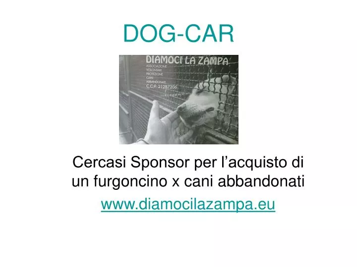 cercasi sponsor per l acquisto di un furgoncino x cani abbandonati www diamocilazampa eu