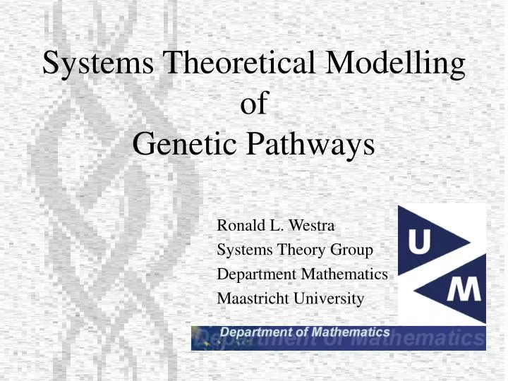 ronald l westra systems theory group department mathematics maastricht university