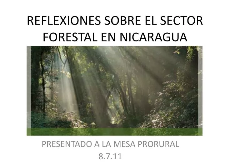 reflexiones sobre el sector forestal en nicaragua