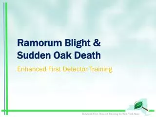Ramorum Blight &amp; Sudden Oak Death