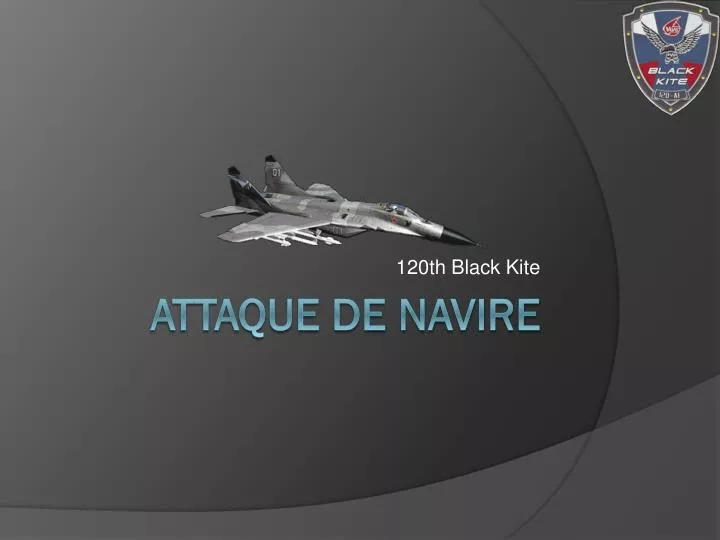 120th black kite