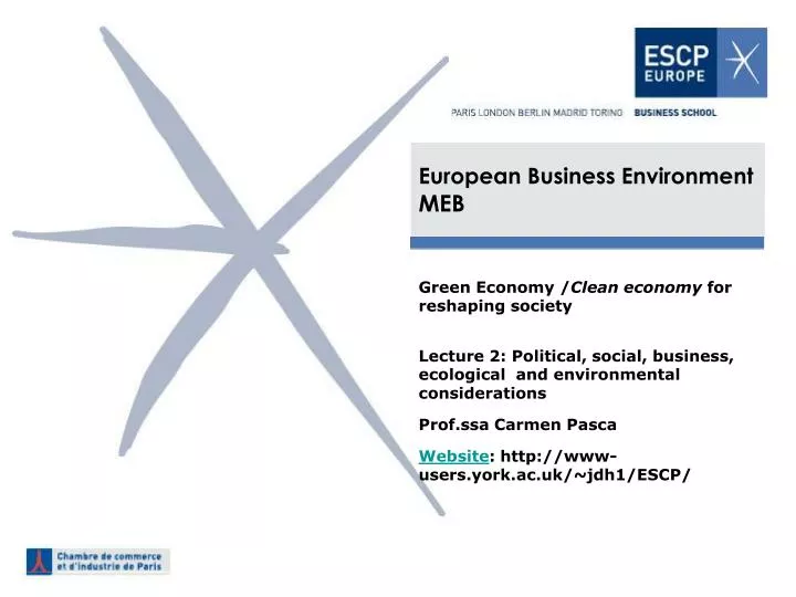 european business environment meb