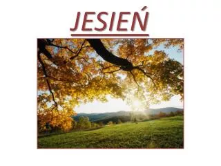jesie