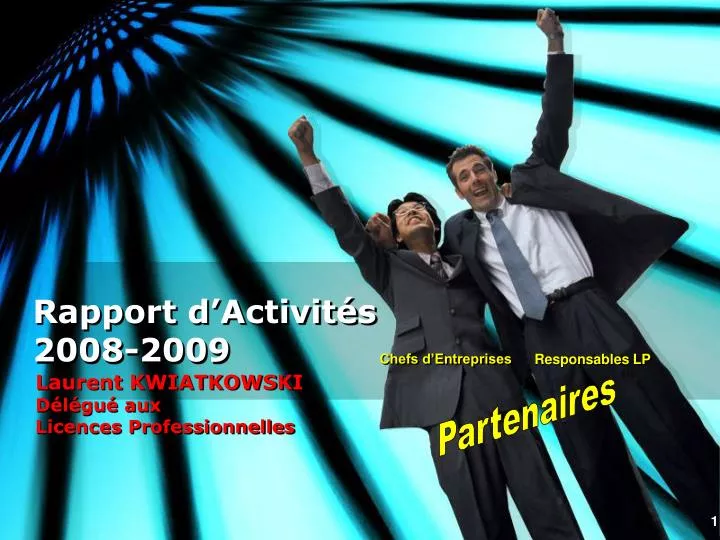 rapport d activit s 2008 2009