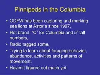 Pinnipeds in the Columbia