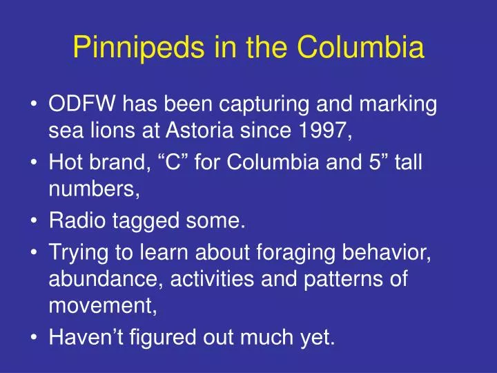 pinnipeds in the columbia