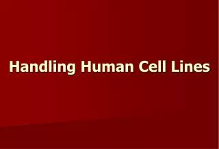 handling human cell lines