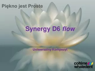 Synergy D6 flow Uniwersalny Kompozyt