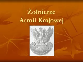 o nierze armii krajowej