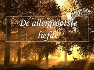 de allergrootste liefde