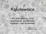 Kąkolewnica - slide 1
