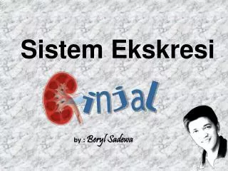 sistem ekskresi