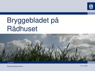 bryggebladet p r dhuset