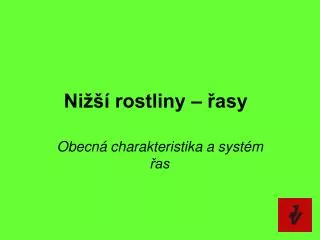 ni rostliny asy