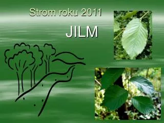 strom roku 2011