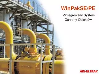 winpakse pe zintegrowany system ochrony obiekt w