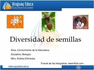 diversidad de semillas