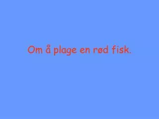 om plage en r d fisk