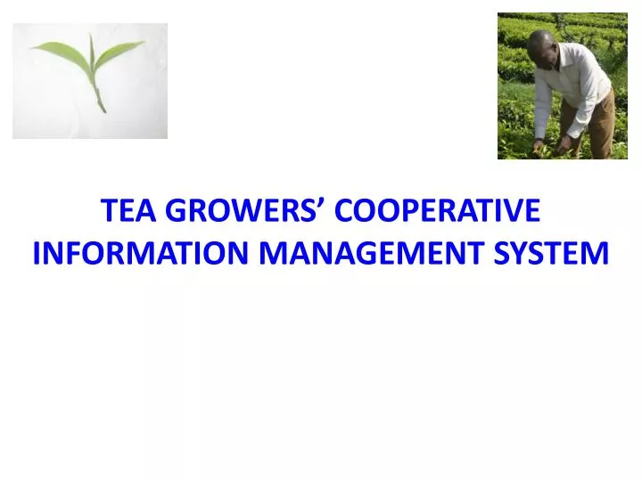 tea growers cooperative information management system