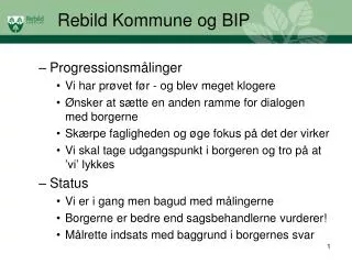 rebild kommune og bip