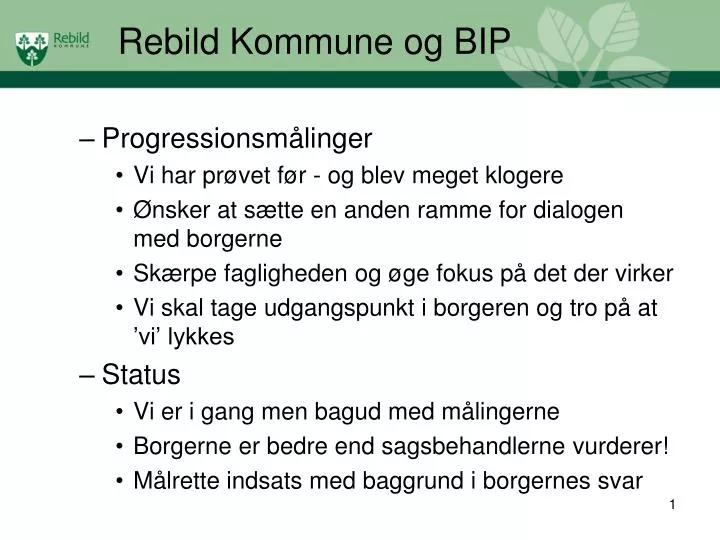rebild kommune og bip