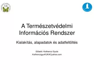 a term szetv delmi inform ci s rendszer