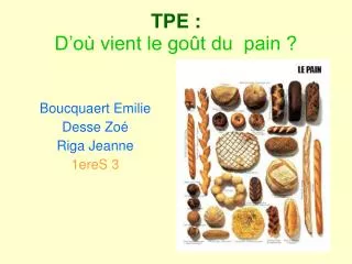 tpe d o vient le go t du pain