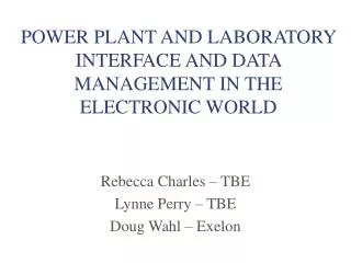 POWER PLANT AND LABORATORY INTERFACE AND DATA MANAGEMENT IN THE ELECTRONIC WORLD