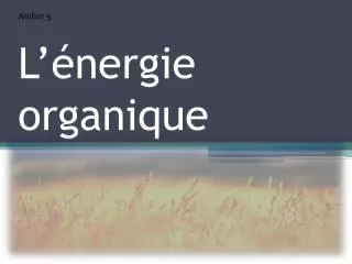 l nergie organique