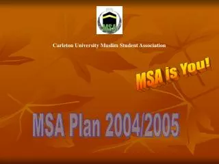 MSA Plan 2004/2005
