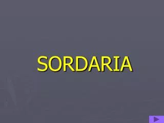 sordaria