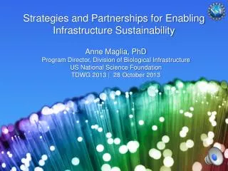 Strategies and Partnerships for Enabling Infrastructure Sustainability