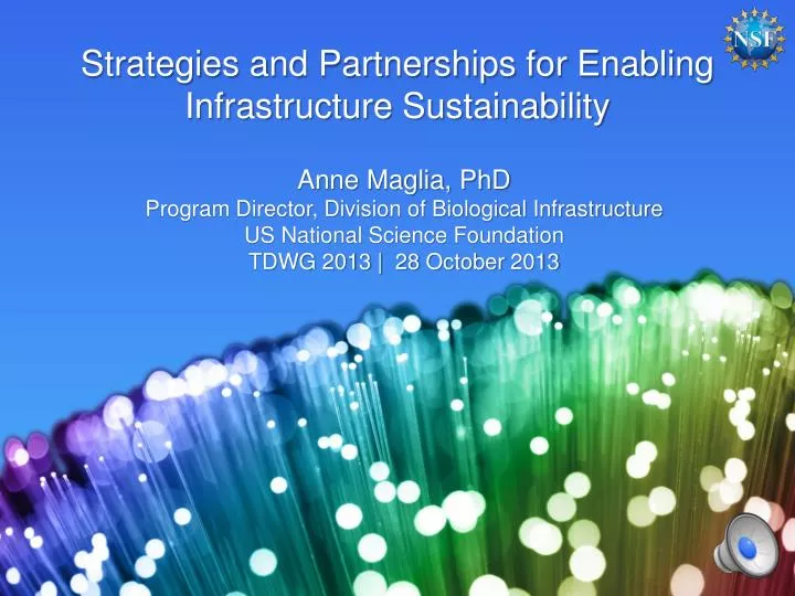 strategies and partnerships for enabling infrastructure sustainability