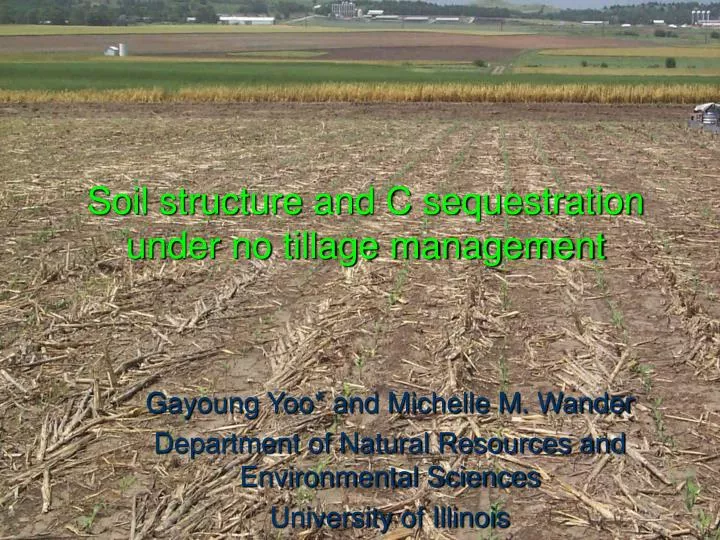 soil structure and c sequestration under no tillage management