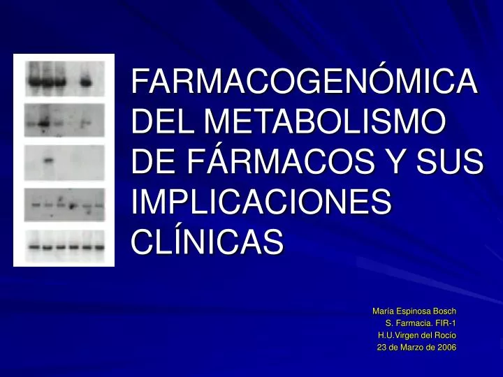 farmacogen mica del metabolismo de f rmacos y sus implicaciones cl nicas