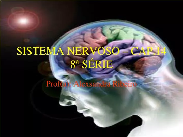 sistema nervoso cap 14 8 s rie