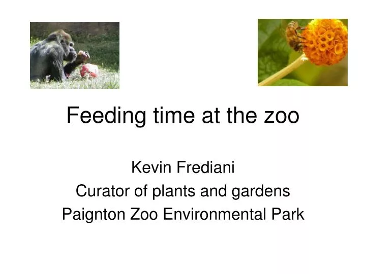 feeding time at the zoo