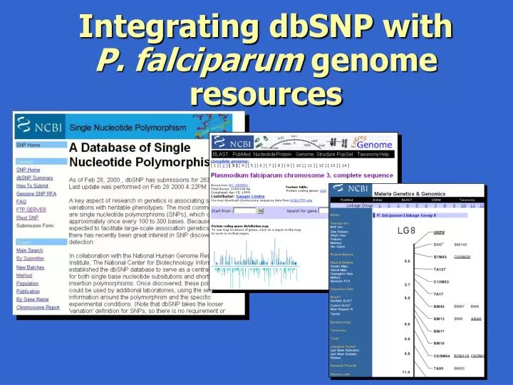 integrating dbsnp with p falciparum genome resources