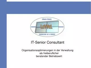 IT-Senior Consultant