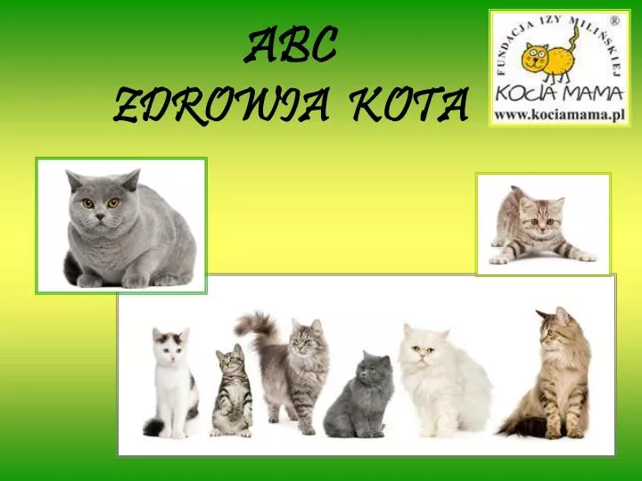 abc zdrowia kota