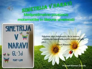 simetrija v naravi