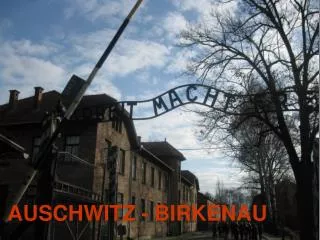 auschwitz birkenau