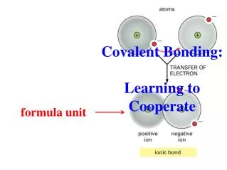 formula unit