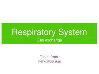 Respiratory System