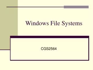 Windows File Systems