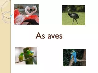 as aves